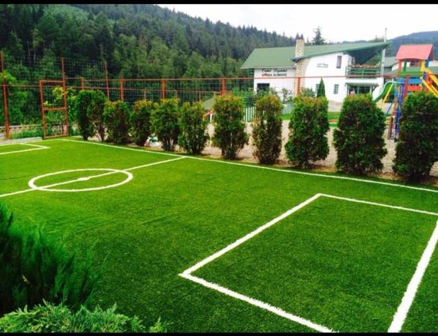 بنسيون Vila Horia Bradet