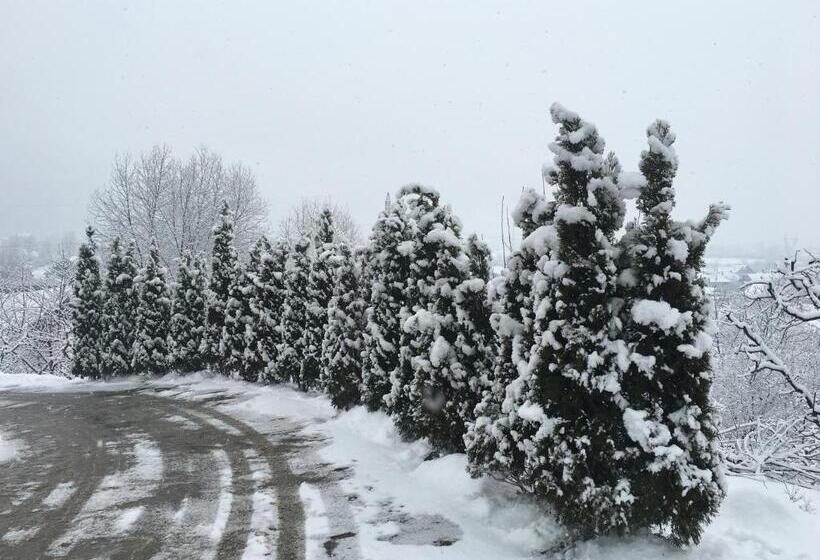 Pensiunea Drumul Plutasilor