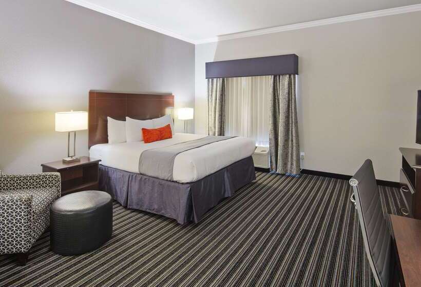 ホテル Best Western Plus Austin Airport Inn & Suites