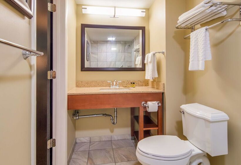هتل Best Western Plus Traverse City