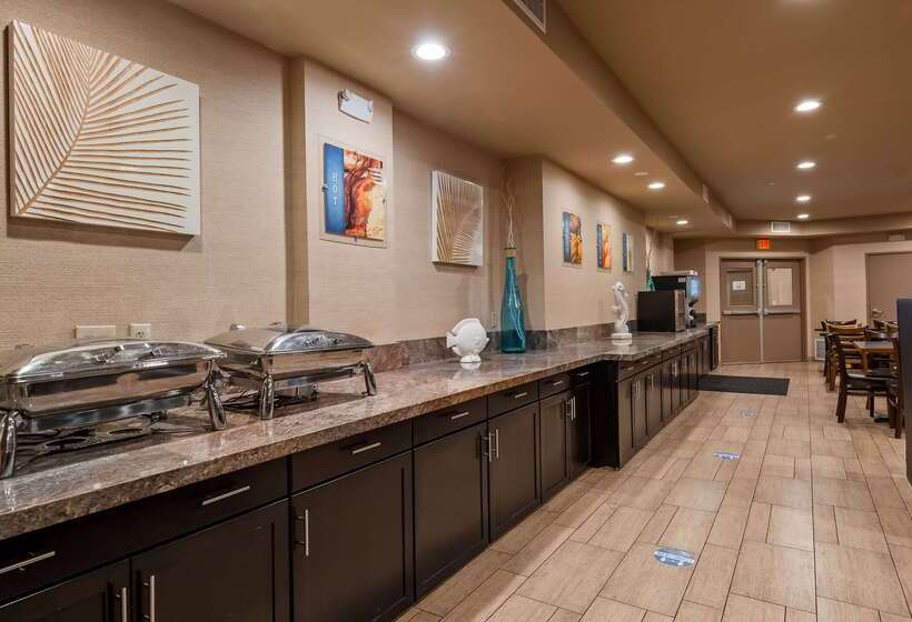 فندق على الطريق Best Western Plus Oceanside Palms