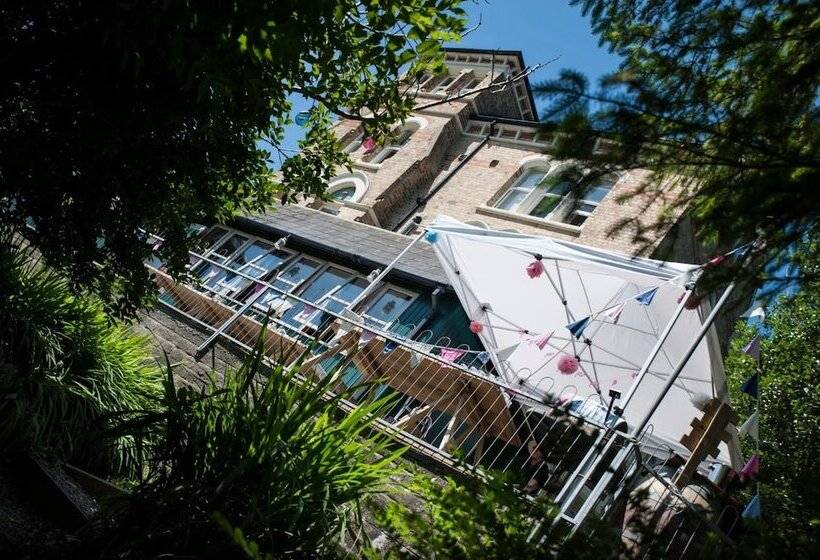 The Elmfield