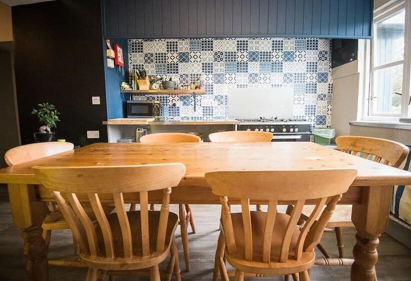 The Elmfield
