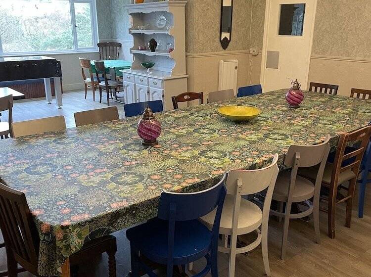 The Elmfield