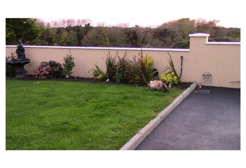 Ambrose Mews B&b