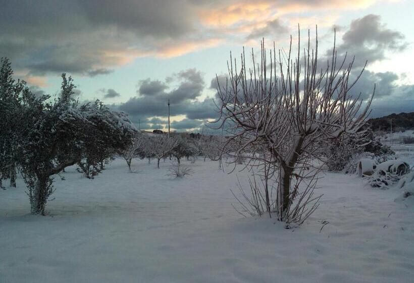 تختخواب و صبحانه Dimora Antonianna In Valle D Itria
