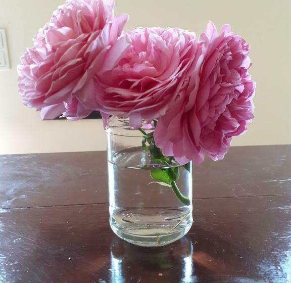 مبيت وإفطار Fleur De Senon