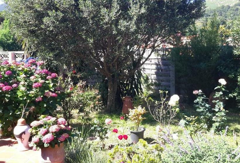 Bed and Breakfast La Chambre De Salome