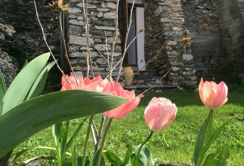 مبيت وإفطار La Stregatta