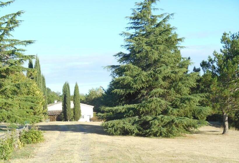 住宿加早餐  Le Colombier