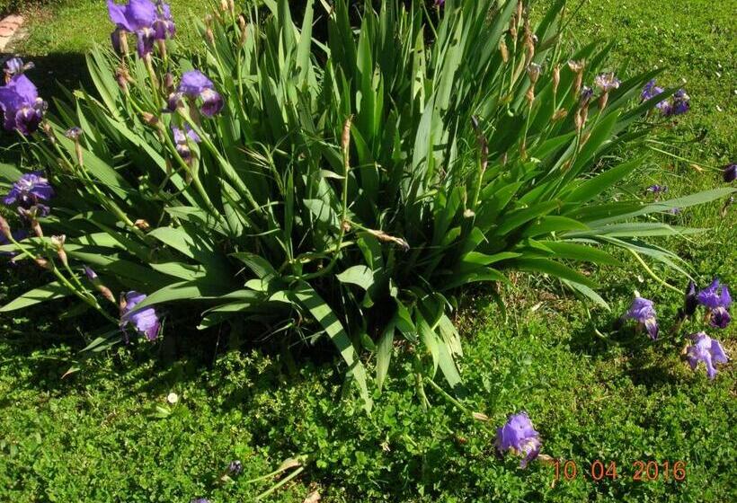 住宿加早餐  Le Colombier