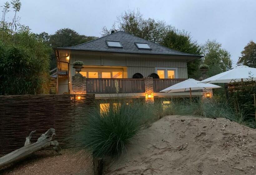 ベッドアンドブレックファースト Loft 55, Penthouse Aan De Schoorlse Duinen