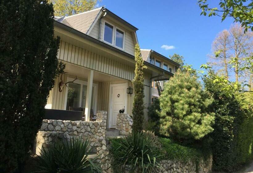 ベッドアンドブレックファースト Loft 55, Penthouse Aan De Schoorlse Duinen