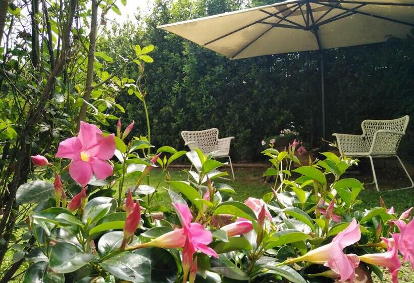 Bio B&b Vivere La Vita