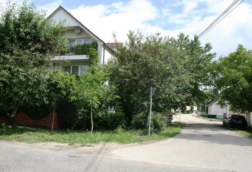 بنسيون Fontana Vendégház