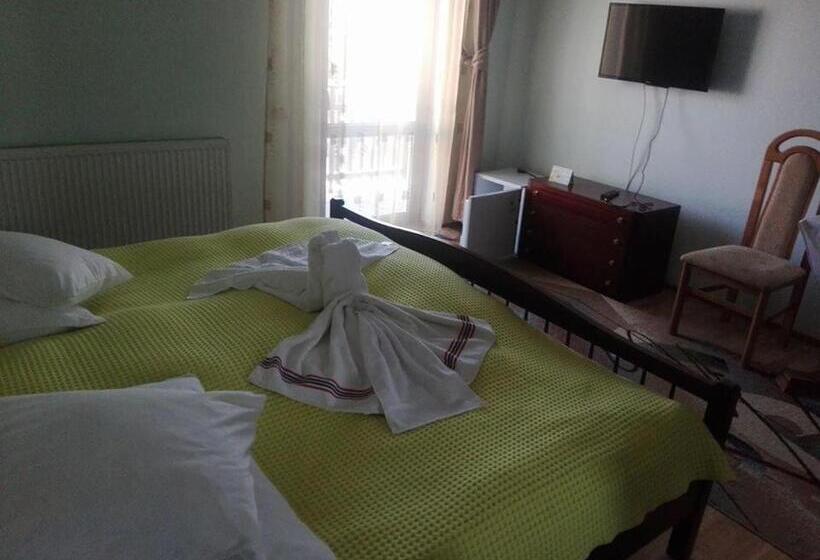 پانسیون Grandemi Belvedere Bucovina