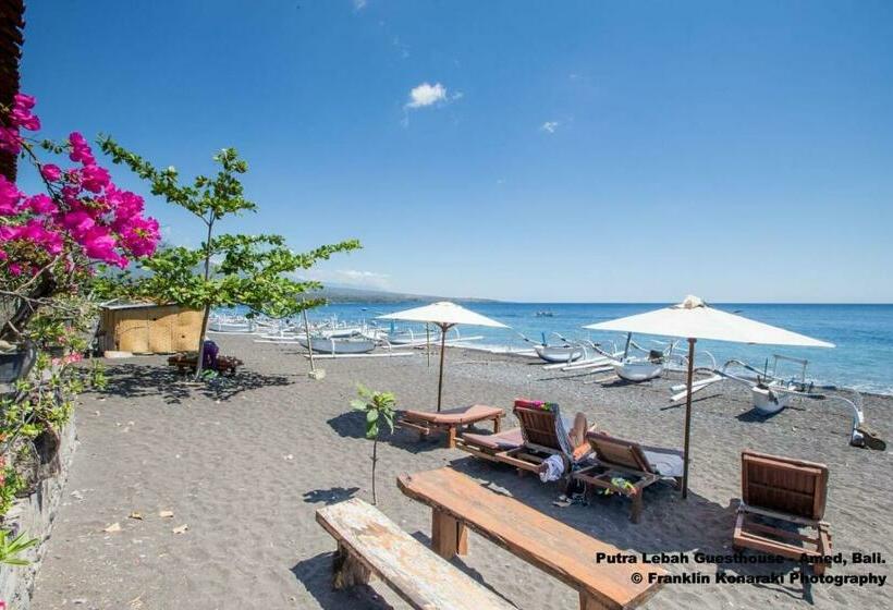 膳宿费 Putra Lebah Amed Guest House