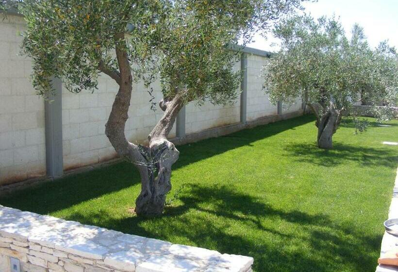 B&b Freezone
