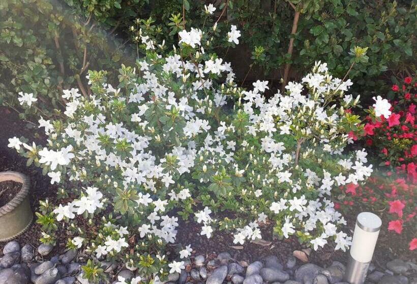 צימר Manoir De L As De Trèfle