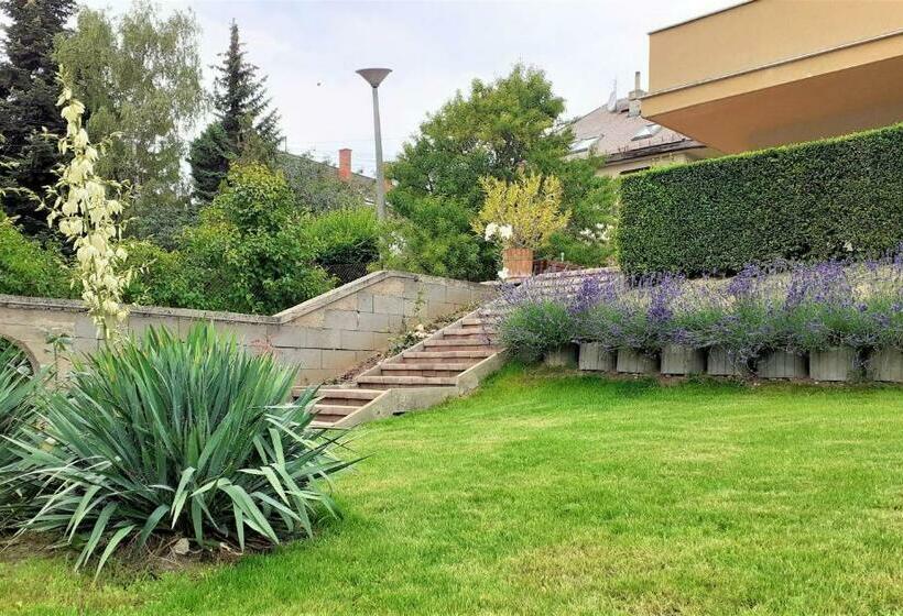 بنسيون Aqua Apartman