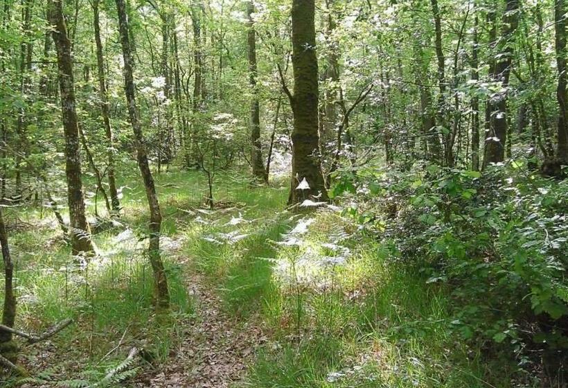بنسيون Manoir Du Tertre Au Coeur De La Forêt De Brocéliande