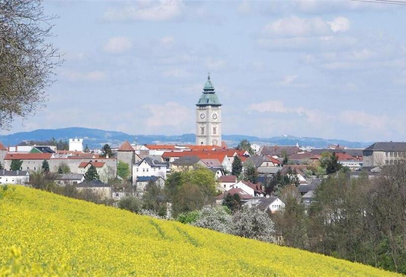 بنسيون Turm