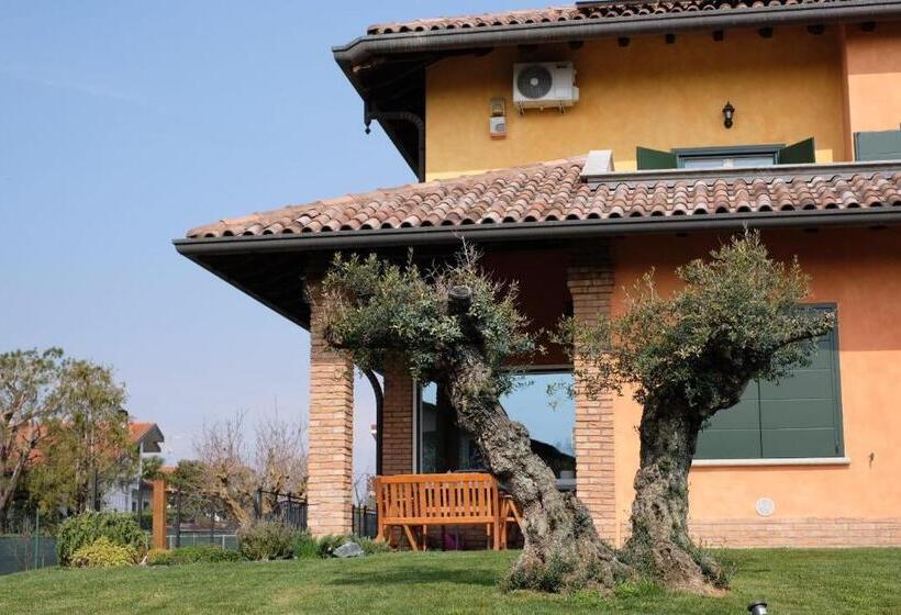 B&b Belvedere
