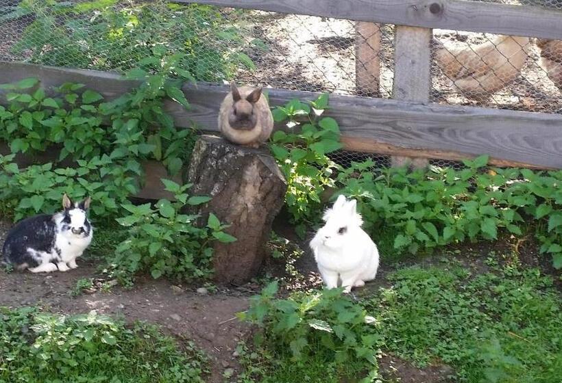 호텔 Stockreiter Vulgo Grillschmied