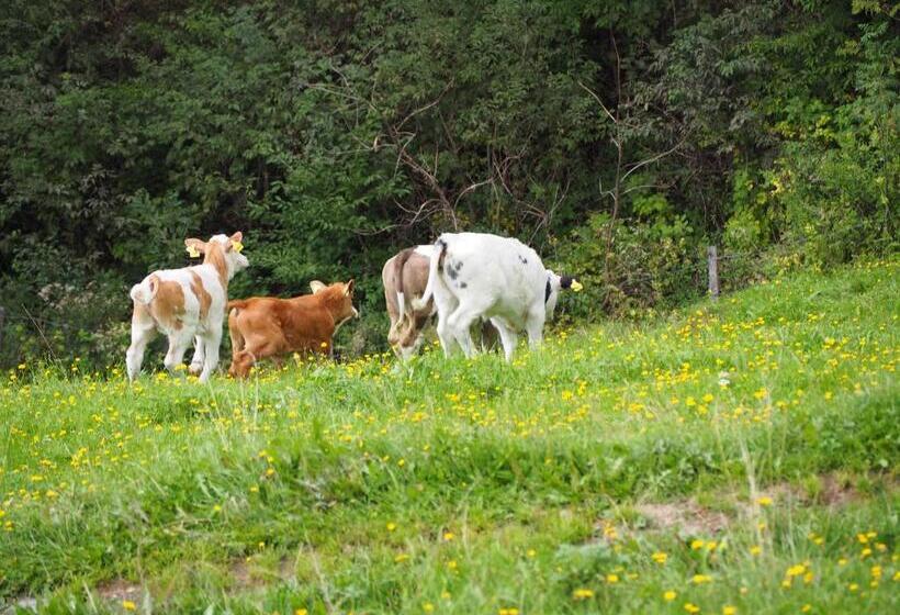 호텔 Stockreiter Vulgo Grillschmied