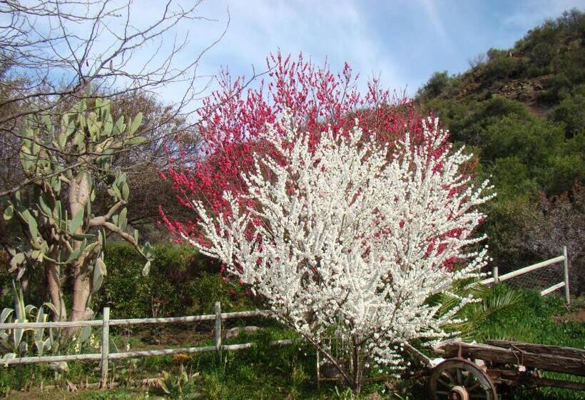 בית מלון כפרי Waterval Farmstay