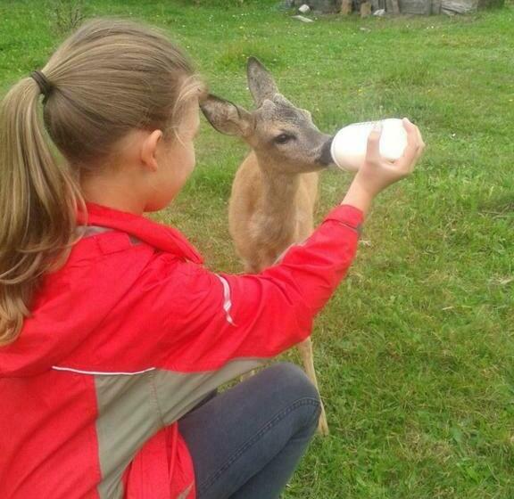 Пансион Gästehaus Am Schloßpark
