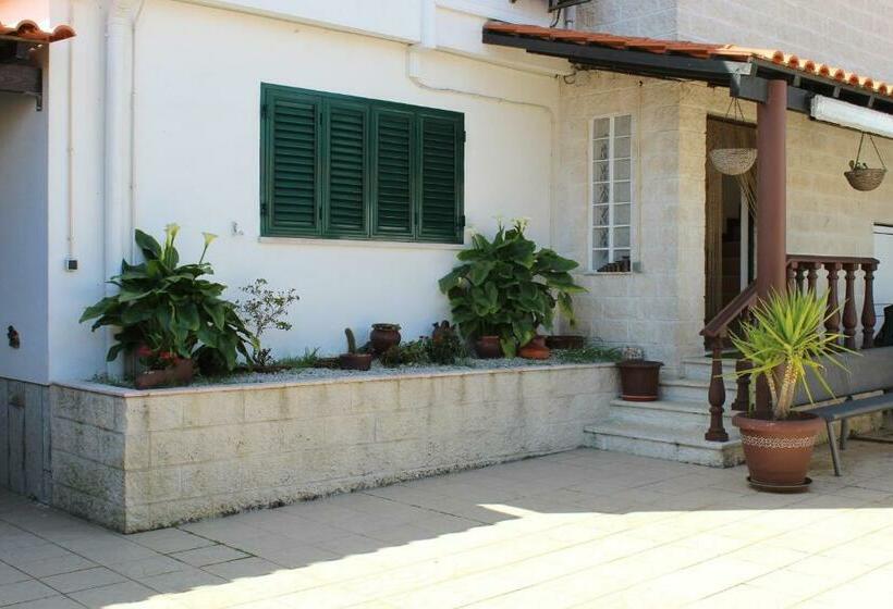 بنسيون Hostel Casa Lucas