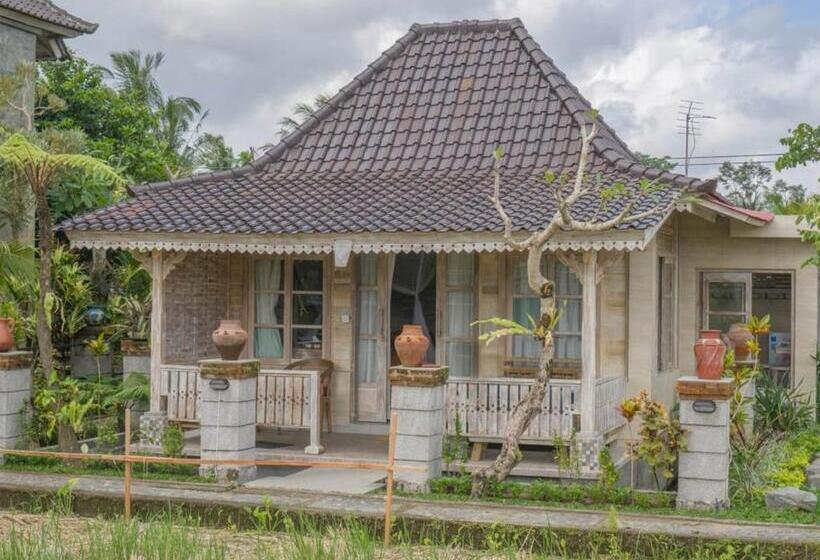 Пансион Uma Caming Villas & Gym