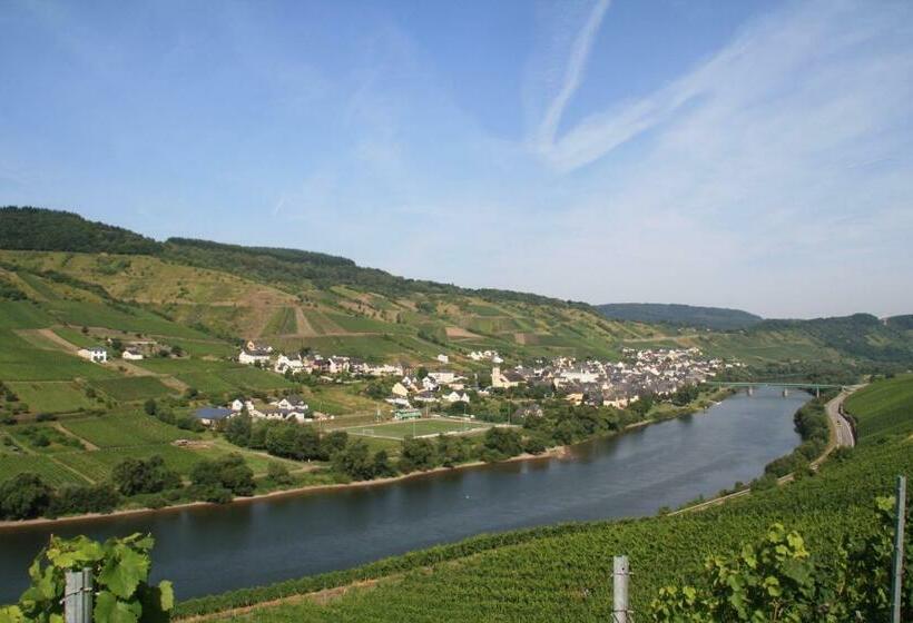 ペンション Weingut Brennerei Gästehaus Emil Dauns