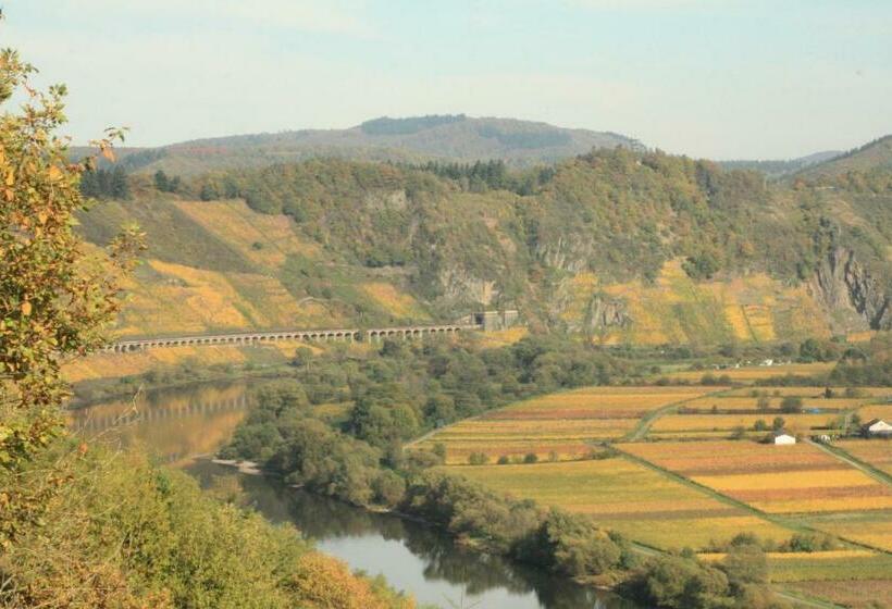 ペンション Weingut Brennerei Gästehaus Emil Dauns