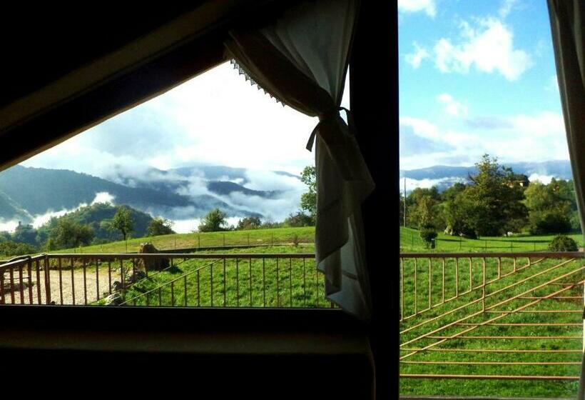 B&b Asinochevola