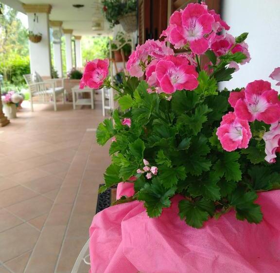 B&b Il Cantico