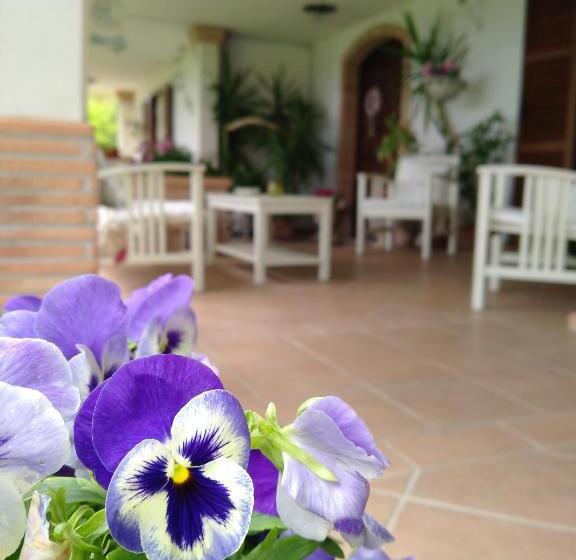 B&b Il Cantico