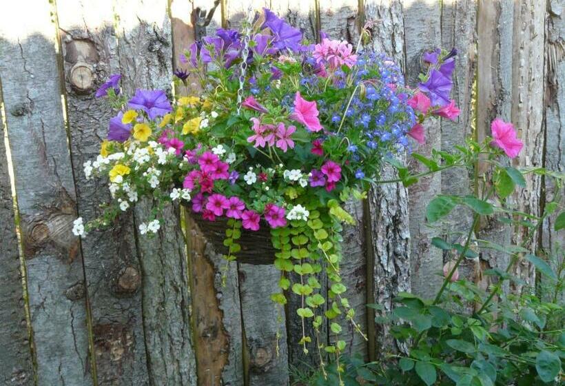 ベッドアンドブレックファースト Dolly At Lowlands