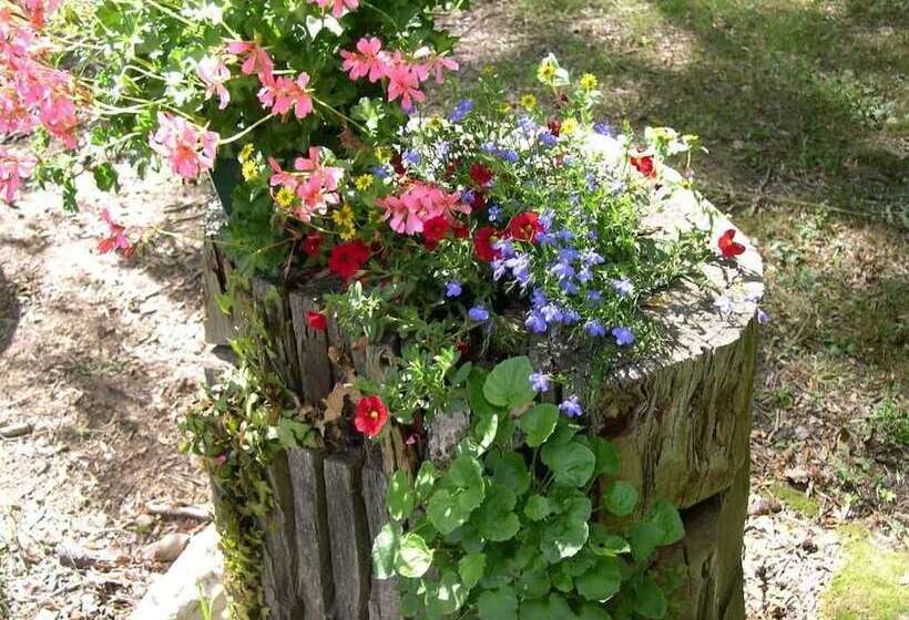 צימר Stuartlodge S