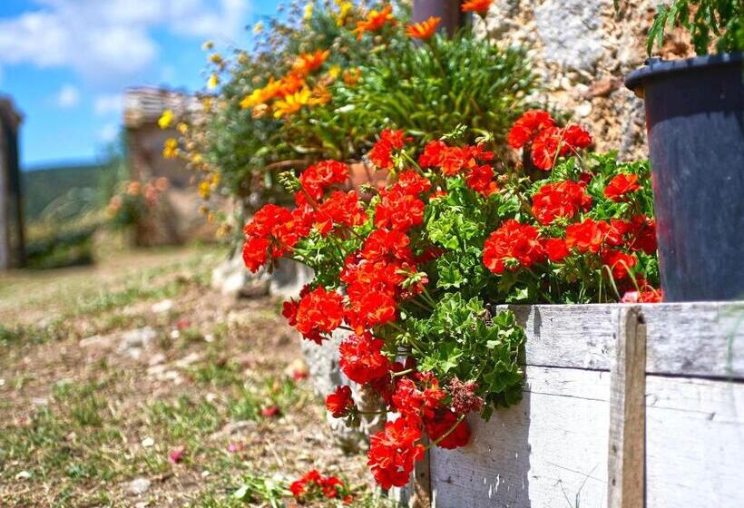 住宿加早餐 Torre Della Chiocciola