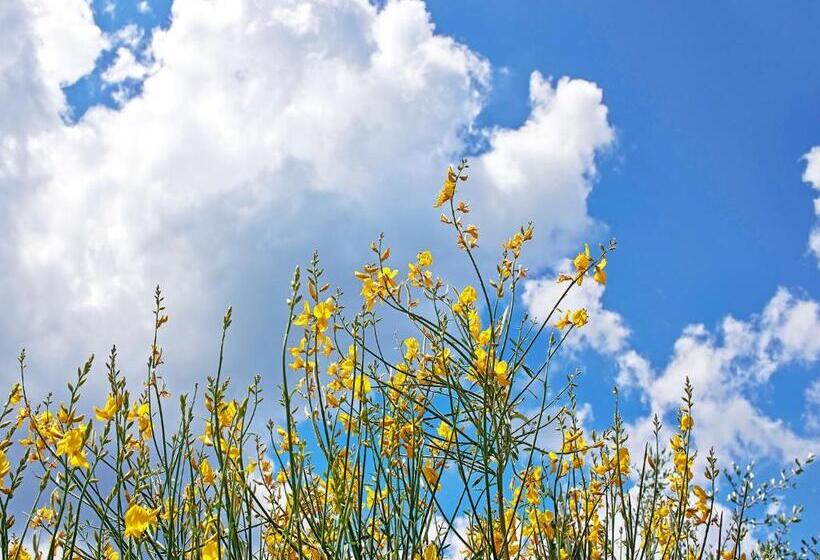 住宿加早餐 Torre Della Chiocciola