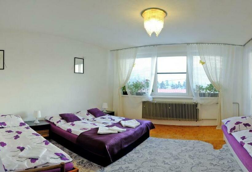 بنسيون 7 Star Wishes