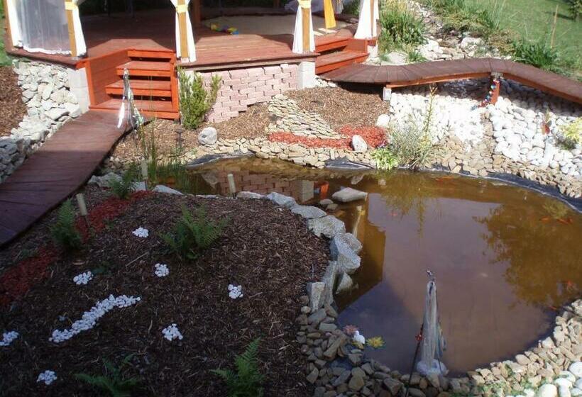 بنسيون 7 Star Wishes