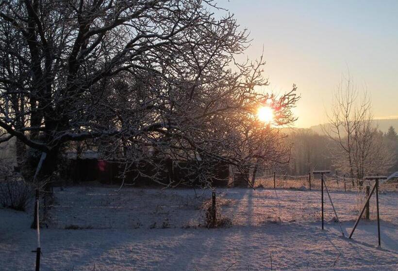 B&b Le Manoir D Ange