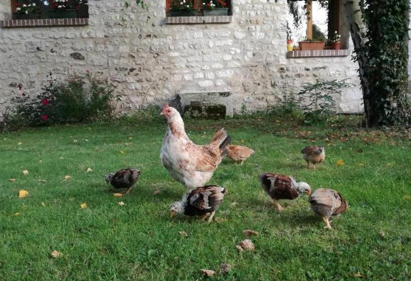 צימר Forest Farm