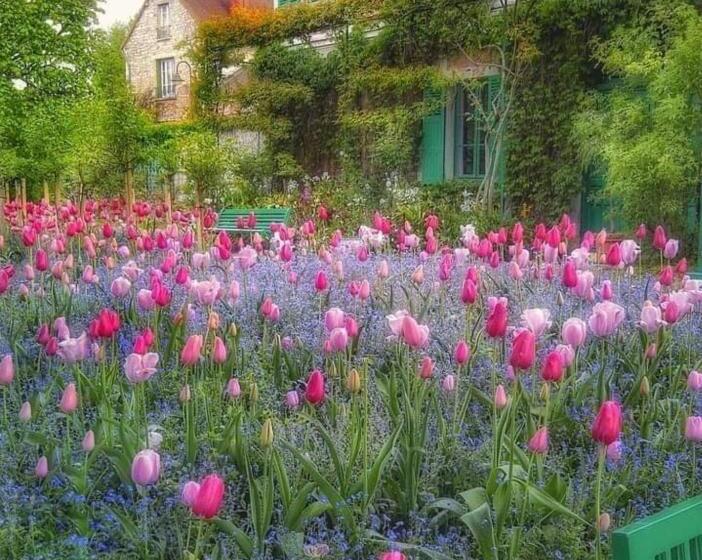 צימר Forest Farm