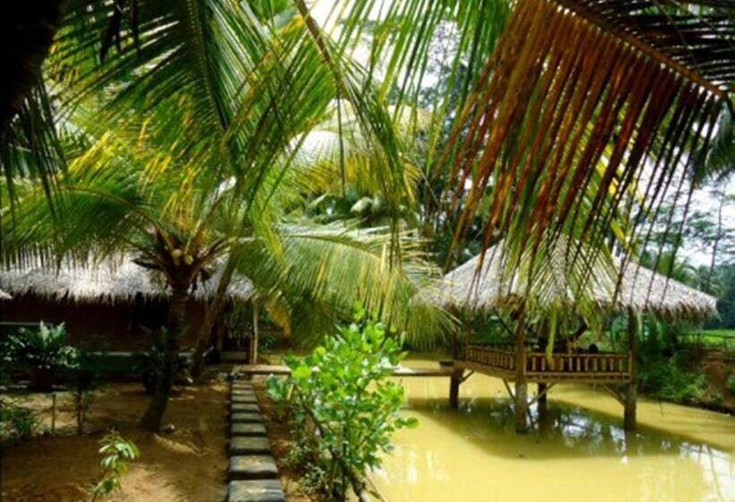 پانسیون Bale Ku