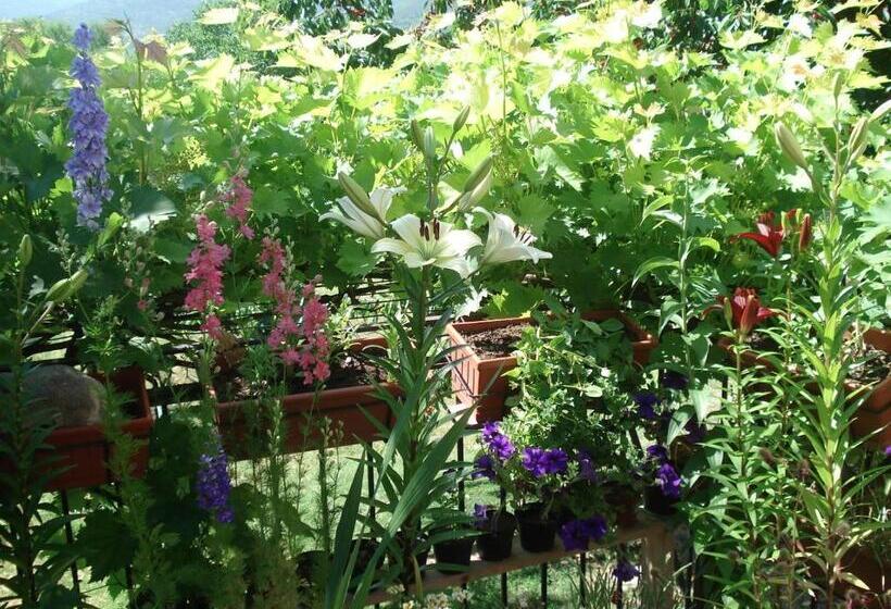 مبيت وإفطار Abruzzo Segreto