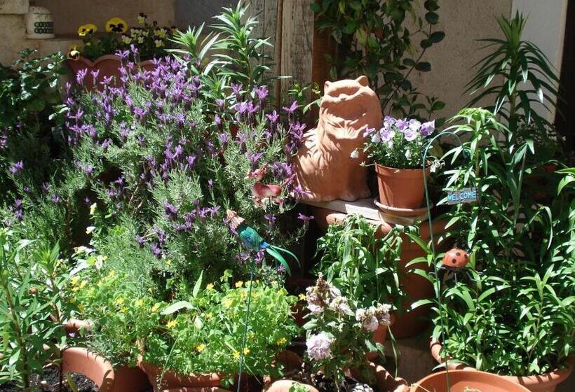 مبيت وإفطار Abruzzo Segreto